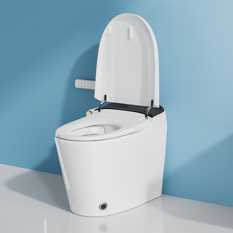 Home Decoration Bathroom Smart - Home Bathroom Toilet review and price