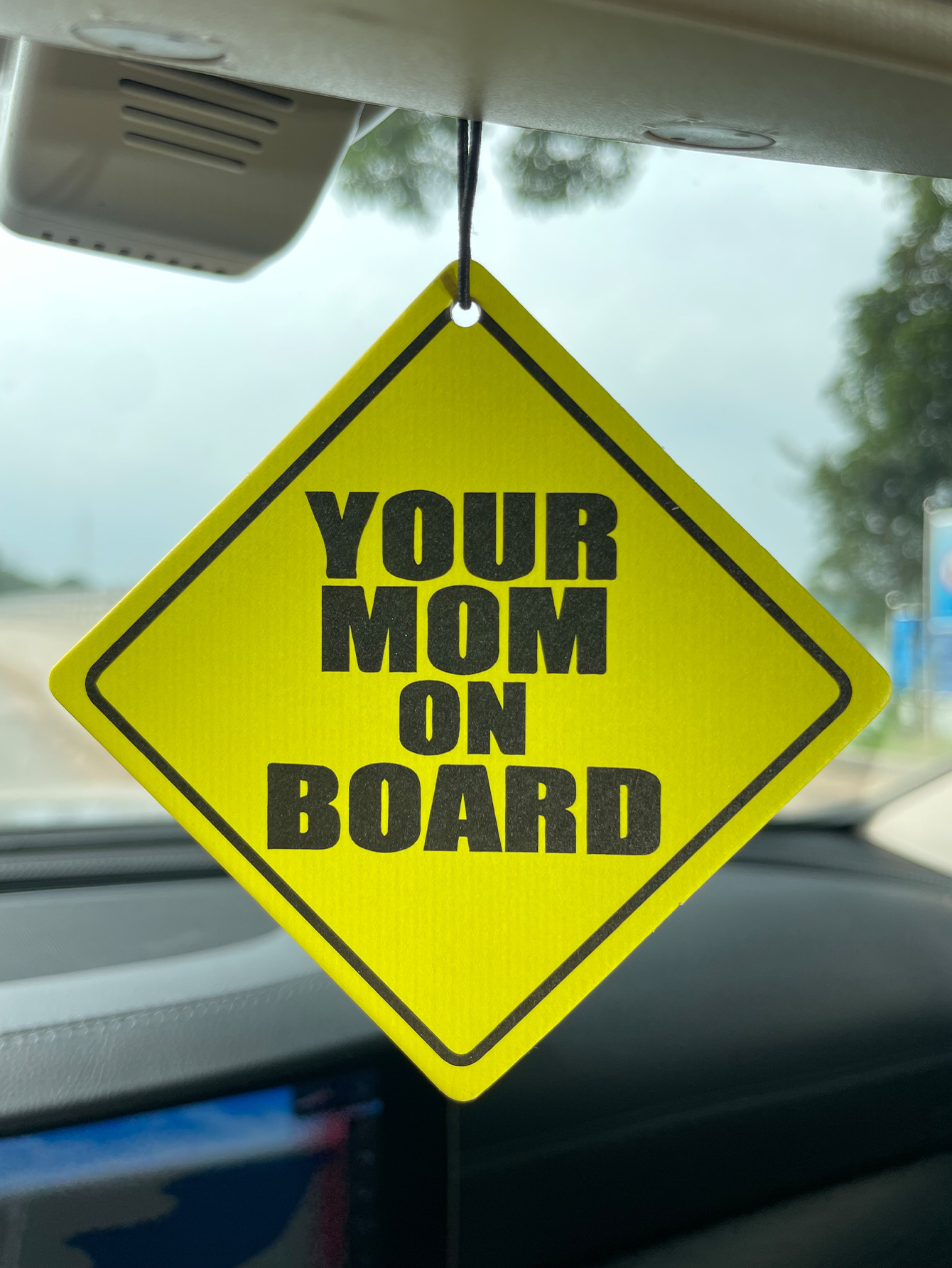 Your Mom on Boar/Hilton Fresh  - Bathroom Home Essentials Store review and price