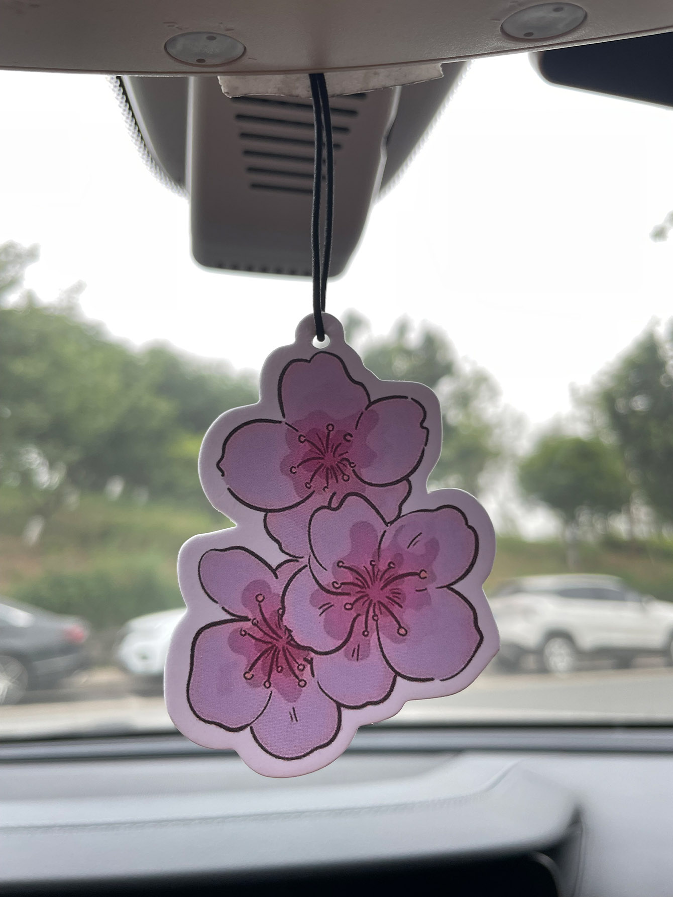 Sakura/Freesia Fresh Scent Fiv - Bathroom Home Essentials Store review and price