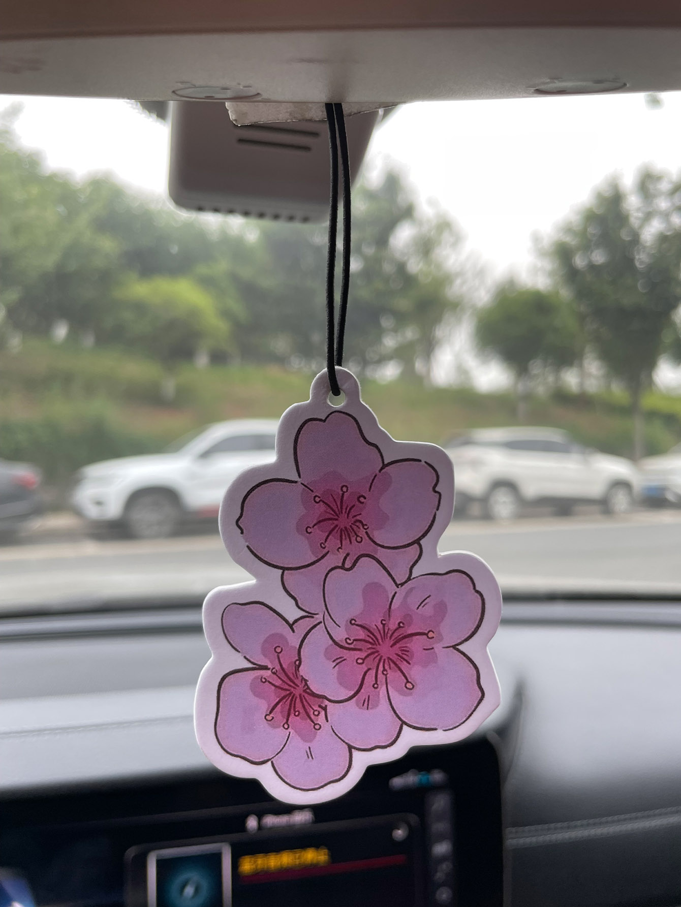 Sakura/Freesia Fresh Scent Fiv - Bathroom Home Essentials Store review and price